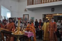 Завершается крестный ход с мощами по Карасукской епархии