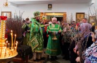 Празднование Входа Господня в Иерусалим в Кафедральном соборе г. Карасука (видео)