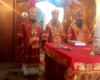 Три епископа совершили Божественную литургию на святом источнике микрорайона «Ложок» г. Искитима