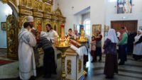 Праздник Сретения Господня в Кафедральном соборе г. Карасука (видео)