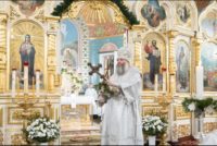 Рождественское послание митрополита Новосибирского и Бердского Никодима (видео)