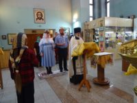 Богослужение накануне празднования Казанской иконе Божией Матери в Троицком соборе р. п. Ордынское