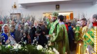 Архиерейская Литургия в г. Карасуке в день Входа Господня в Иерусалим (видео)