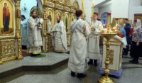 Первая архиерейская Литургия  в Кафедральном соборе г. Карасука в Новом 2020-ом году (видео)
