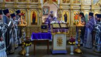 8-ая годовщина  архиерейской хиротонии епископа  Филиппа в Кафедральном соборе г. Карасука (видео)