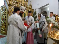 Рождество Христово в Кафедральном соборе г. Карасука (видео)