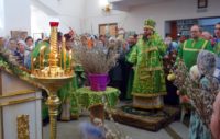 Архиерейская Литургия в кафедральном соборе г. Карасука в день празднования Входа Господня в Иерусалим (видео)